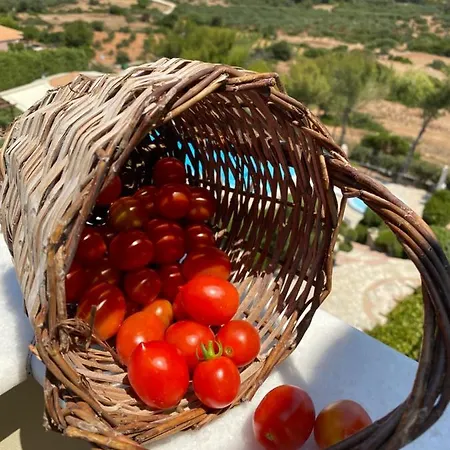Hotel de apartamente Lithies Sea View Boutique 2*
